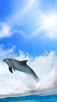 Dolphins Live Wallpaper android App screenshot 7